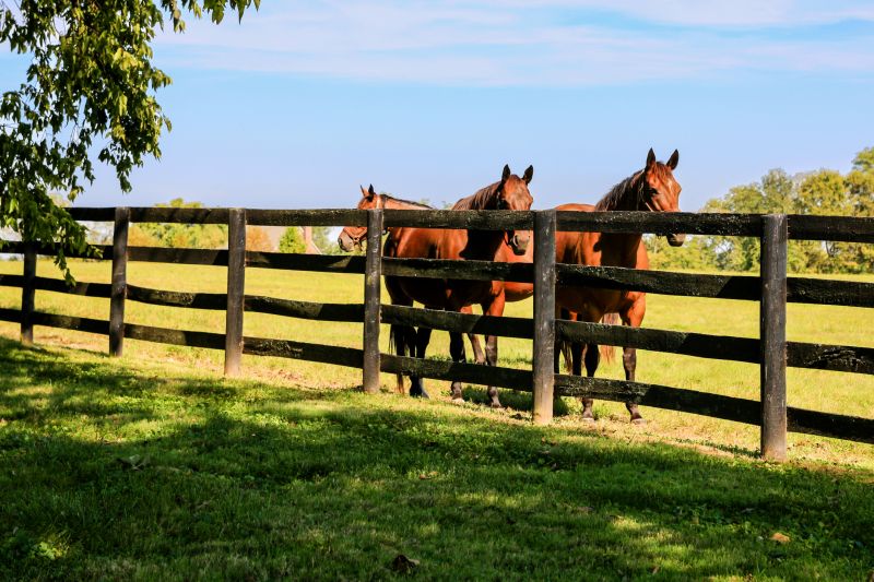 Horse Paddock Installation in Sacramento, CA